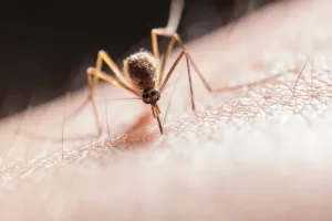 Kolorowe baterie łazienkowe, które ożywiają wnętrze